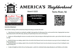 newsletter icon